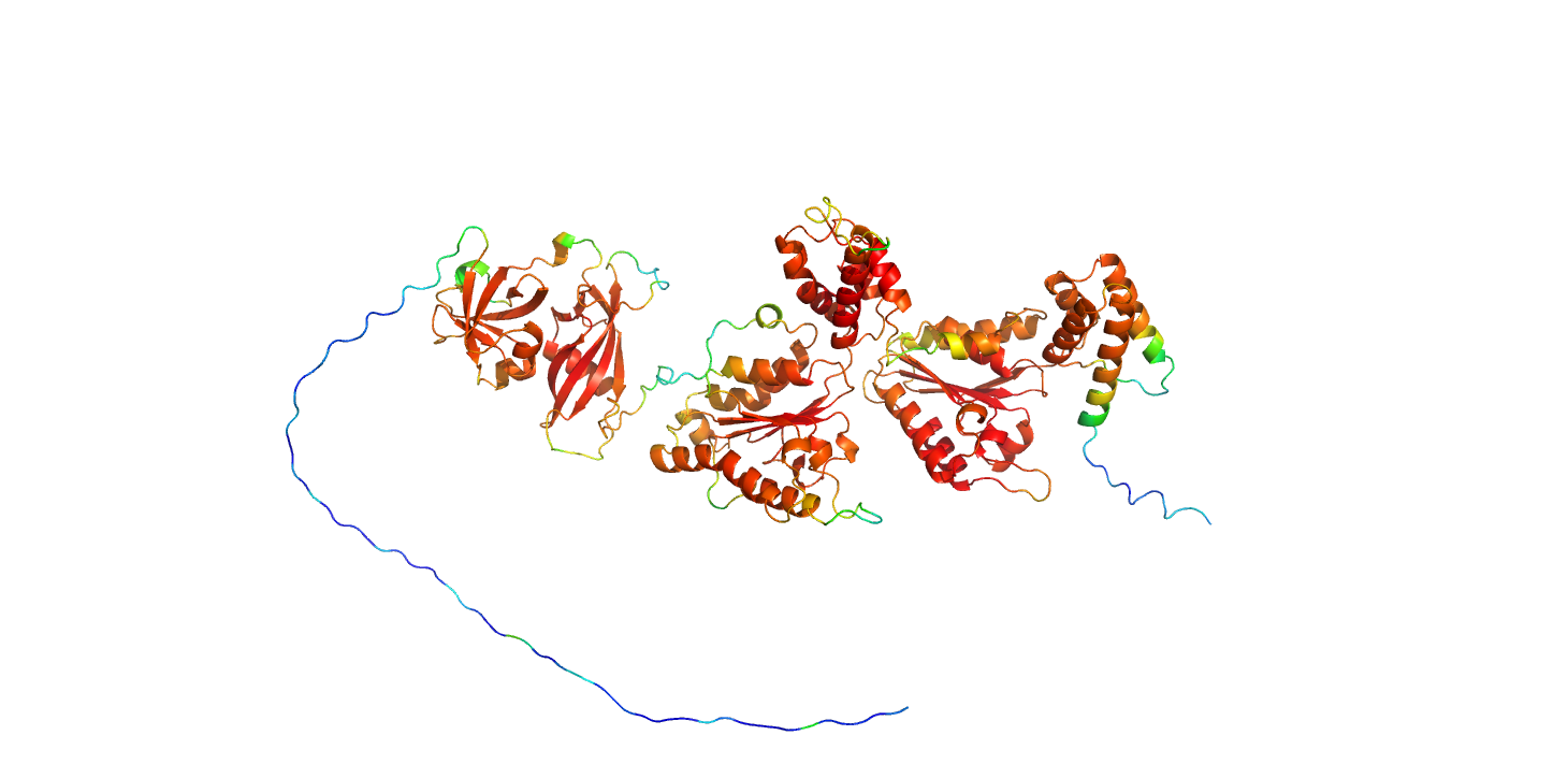 _images/A0A7R8AL04alphafold.png