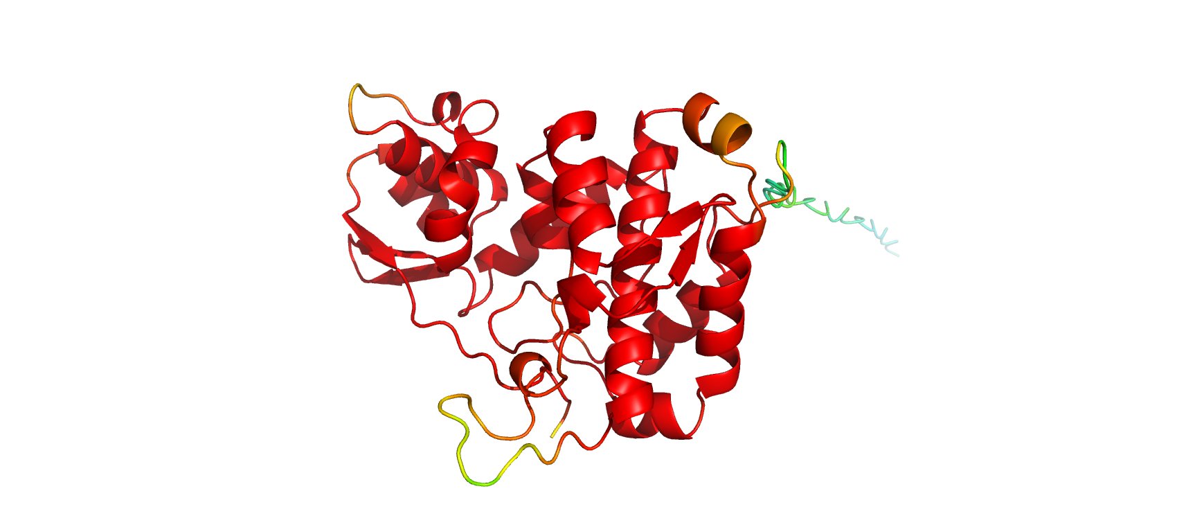 _images/A0A7W1P561alphafold.png