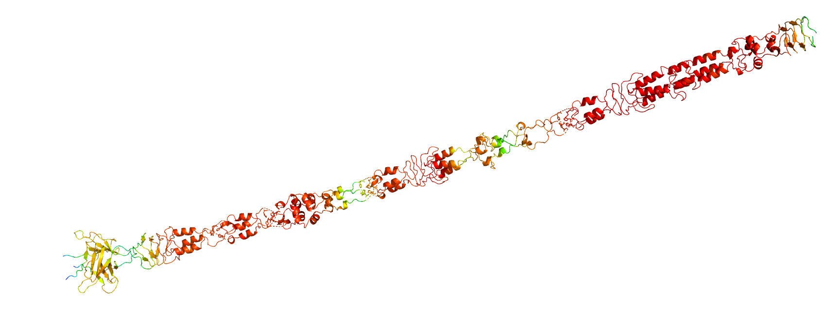 _images/A3XEN5alphafoldtrimer.png
