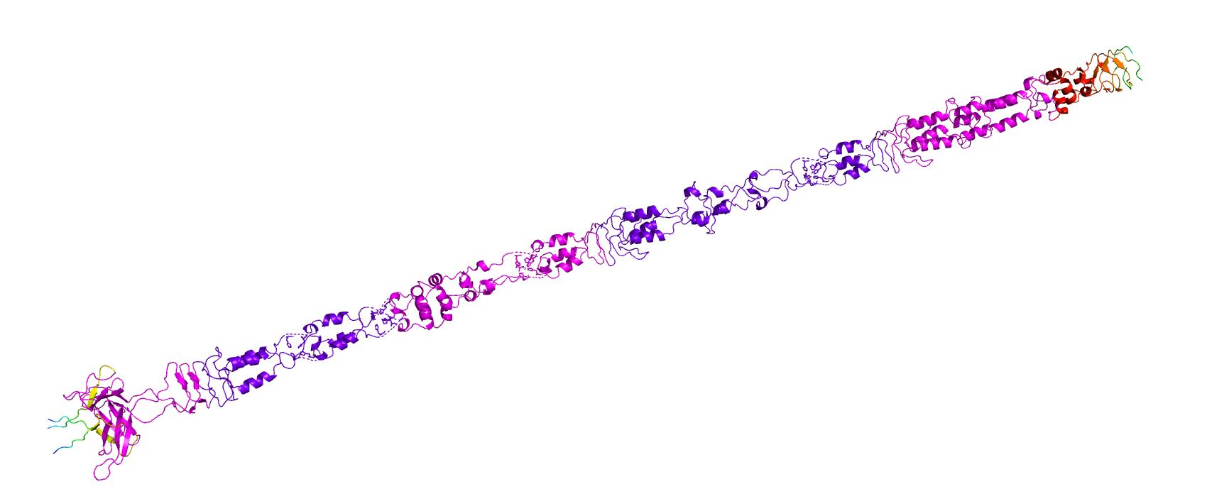 _images/A3XEN5alphafoldtrimerUnits.png