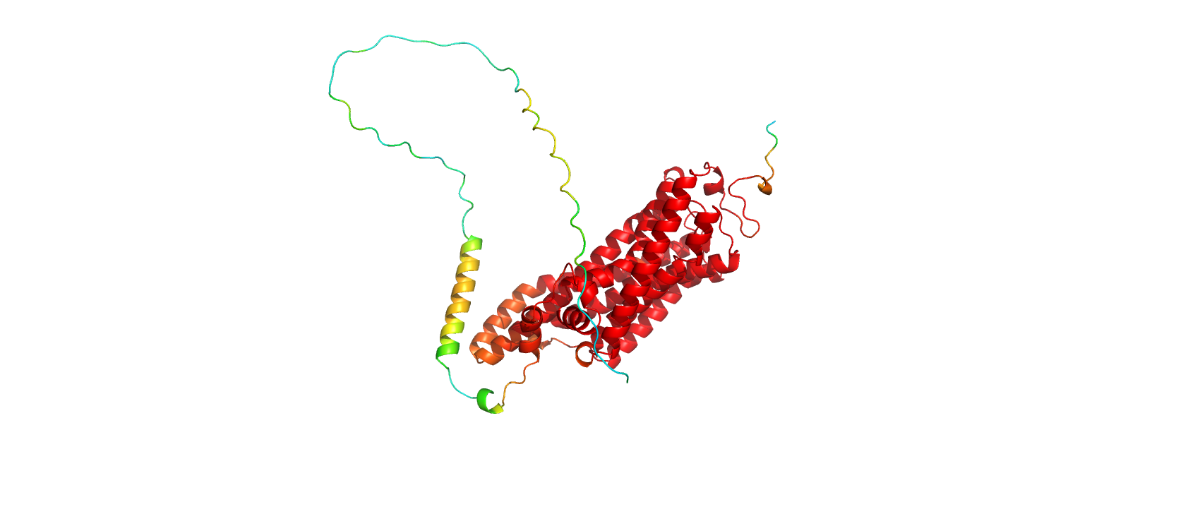 _images/P24603alphafold.png