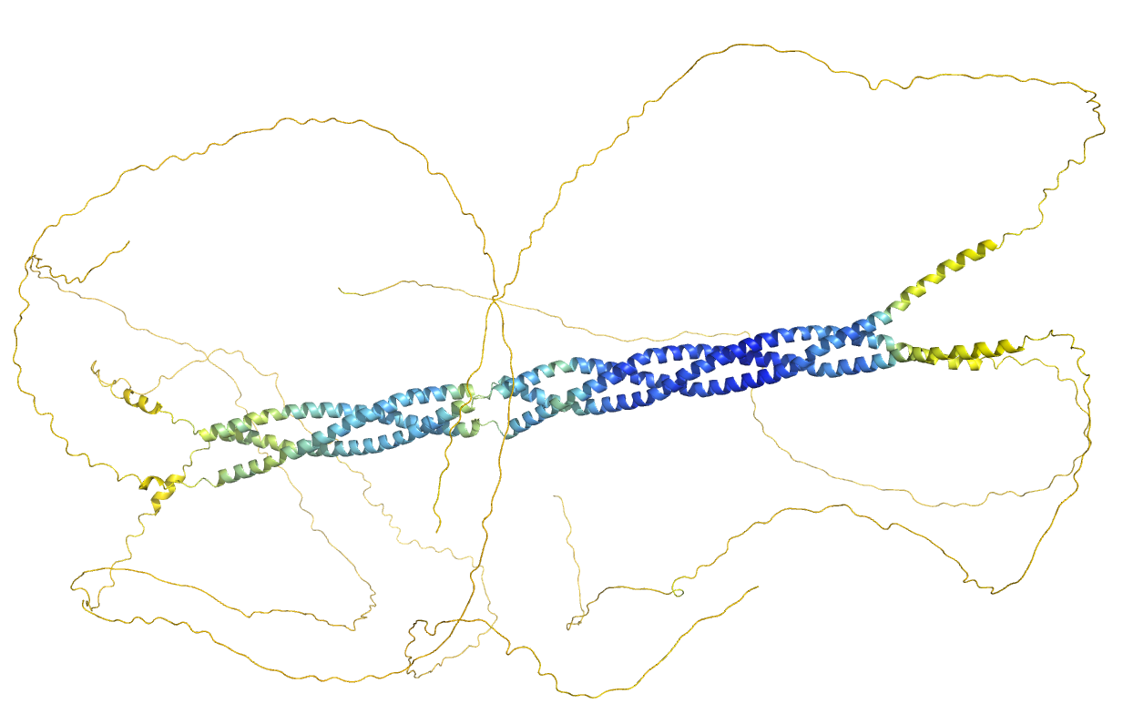 _images/PF00904_B4DWR5_trimer.png