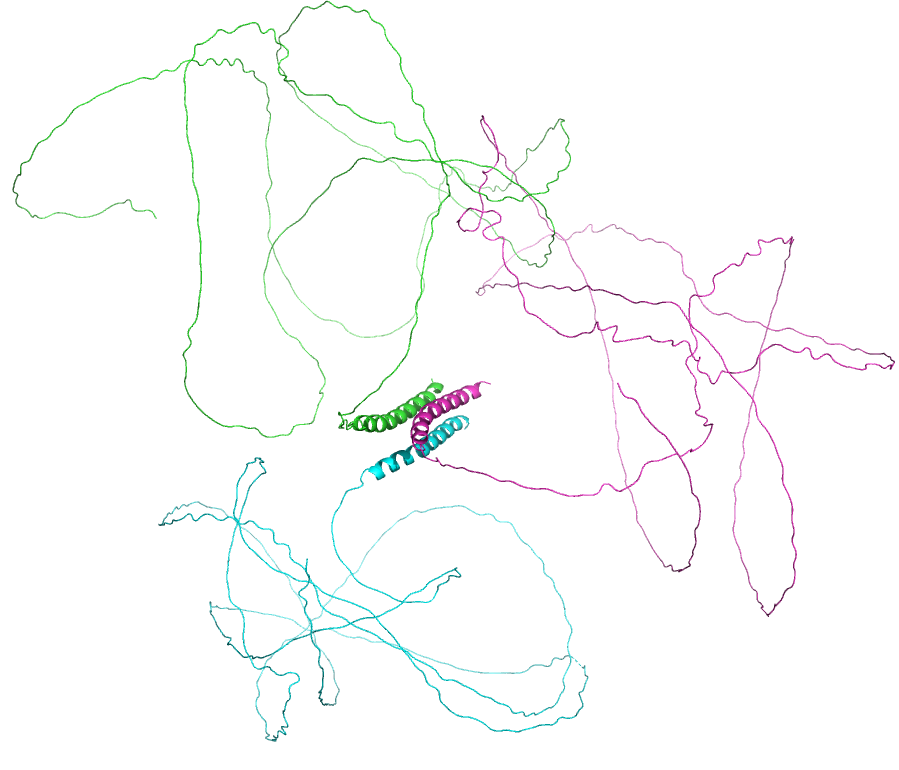 _images/PF10529_B4DUM3_trimer.png
